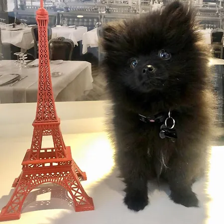 Отель Gustave 3*