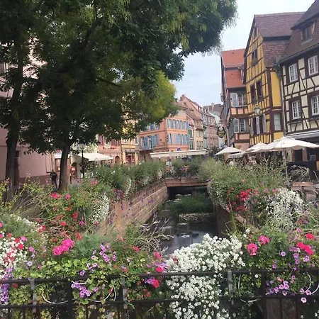 Gustave 3* Кольмар