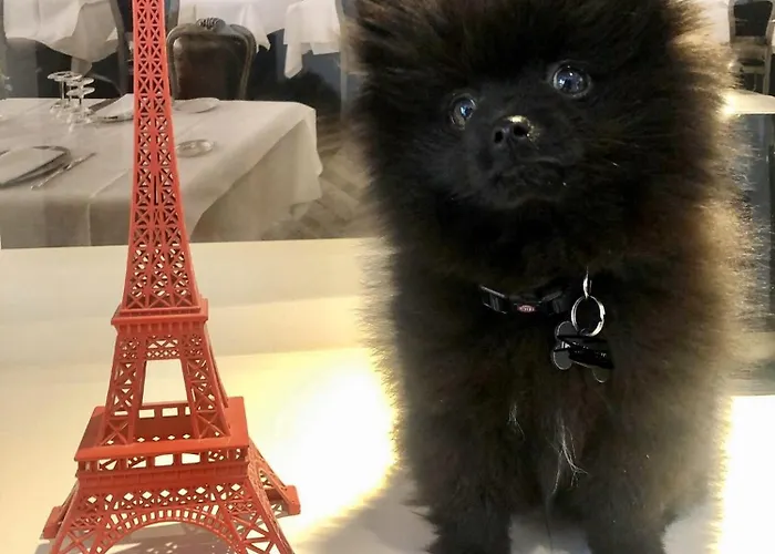 ホテル Gustave 3*